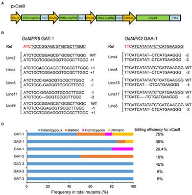 Genome Engineering in Plant Using an Efficient CRISPR-xCas9 Toolset With an Expanded PAM Compatibility